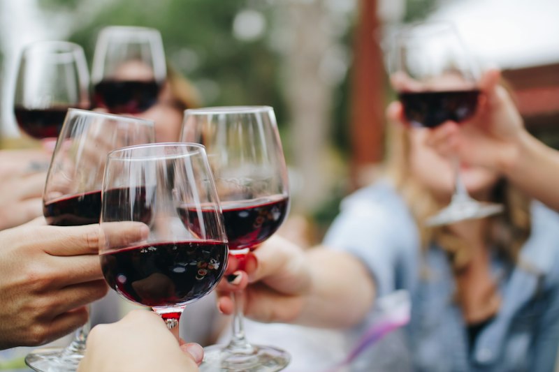 Friends toasting wine glasses at a boutique winery vineyard