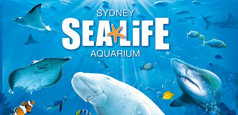 Sea Life Sydney Aquarium Admission 