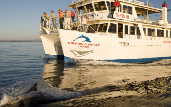 Jervis Bay Dolphin Adventure & Winery Day Tour
