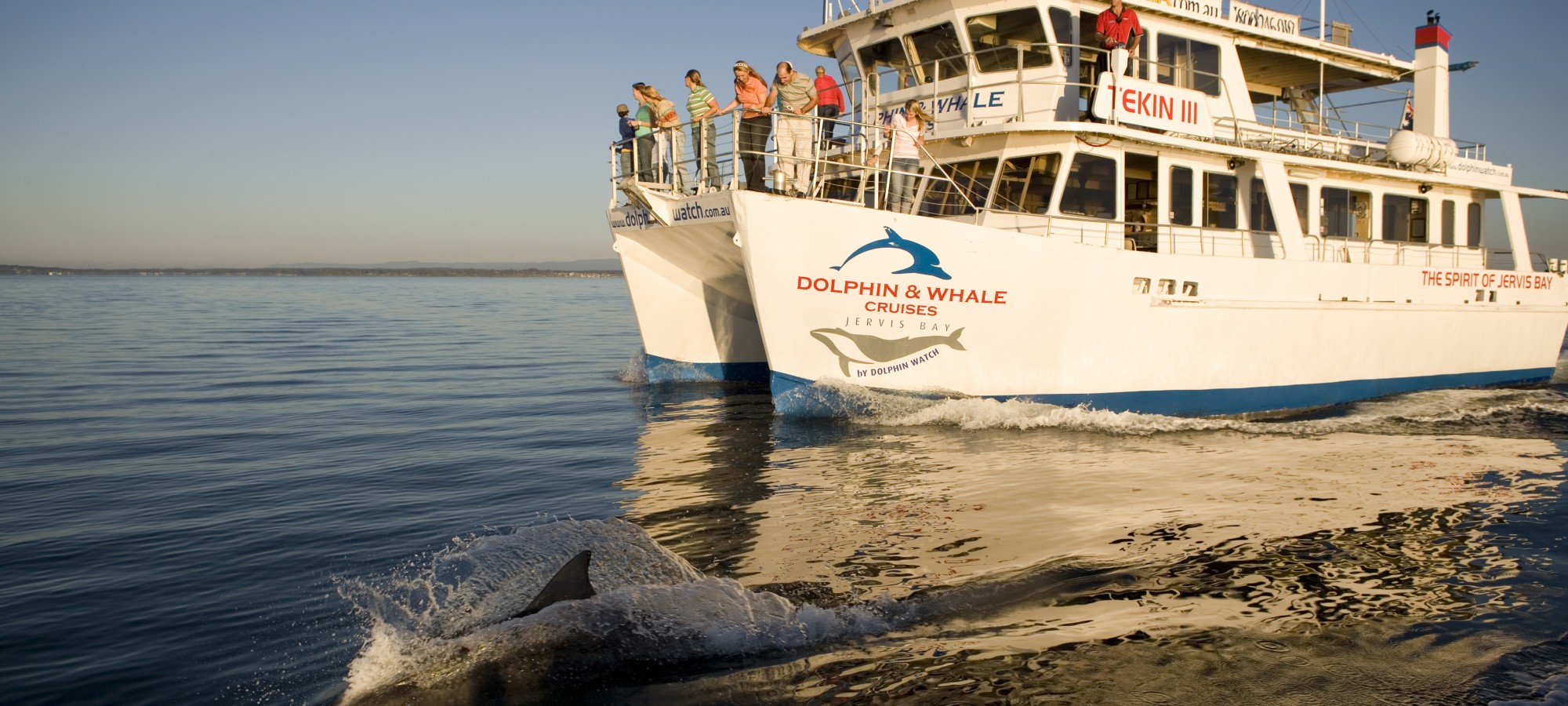 Jervis Bay - Dolphin Watch Cruise - Tekkin III