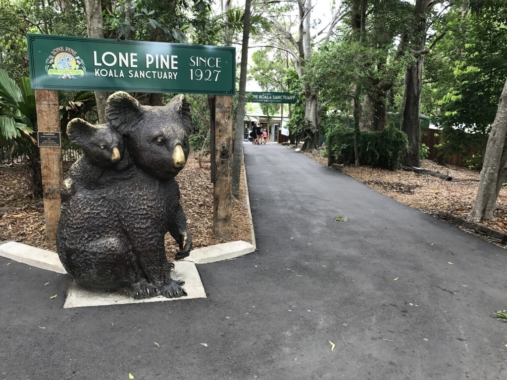 Lone Pine Koala Sanctuary Admission
