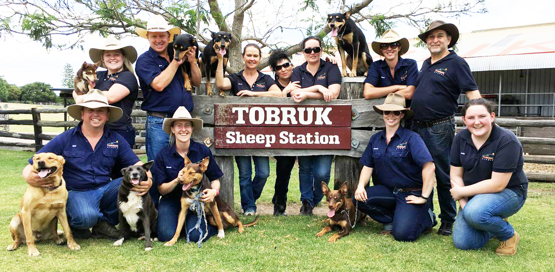 Tobruk Sheep Station