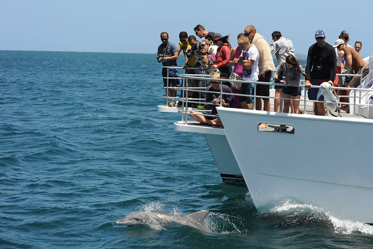 Jervis Bay - Dolphin Watch Cruise - Tekkin III