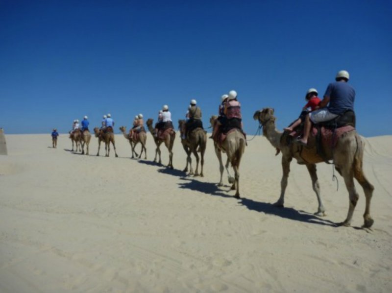 Adventure Camel Riding (20 Minutes)